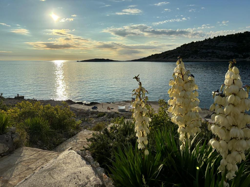 Pogled s terase apartmana Puntaplanka